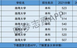 渤海大學是一本還是二本(渤海大學屬于什么檔次的大學)