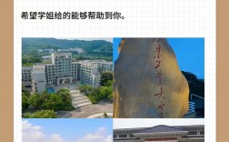 廣東考研容易上岸的學校專業(yè)