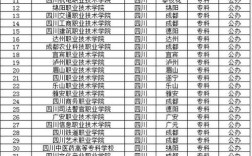 2024年四川省民辦?？茖W校排名