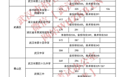 武漢高中分數線
