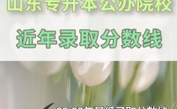 山東招收專升本的學(xué)校 報(bào)考條件有哪些