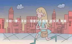 不經(jīng)一事，不長一智是什么意思_近義詞_來源