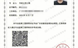 怎么查自己的監理證(個人監理證書查詢網站)