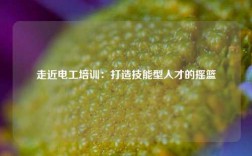 走近電工培訓(xùn)：打造技能型人才的搖籃