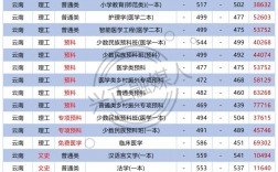 大理大學護理專業(yè)錄取分數(shù)線