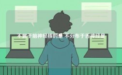 不屬于腦神經(jīng)核的是 不分布于舌神經(jīng)是