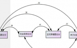 雙向選擇什么意思