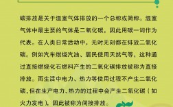 什么是碳排放