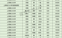 上海電力大學排名