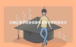 云南工商學(xué)院各省最低錄取分數(shù)線及位次