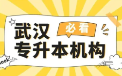 2025湖北省內專升本培訓領域前十佼佼者名單