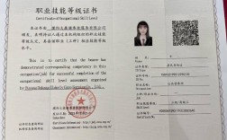 保定公共營養師證書(詳解)