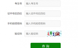 山東省教育考試院官網入口（https://www.sdzk.cn/）