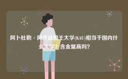 阿卜杜勒·阿齊茲國王大學(xué)(KAU)相當(dāng)于國內(nèi)什么大學(xué)？含金量高嗎？