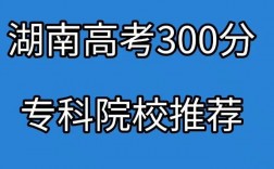 文科300分左右的好大專