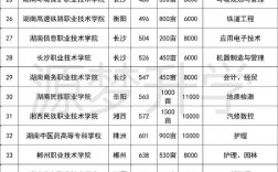 大專有什么專業可以選