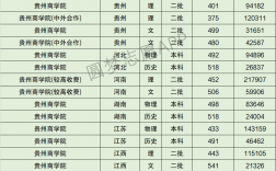 2024年貴州商學院藝術類錄取分數線
