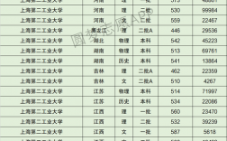 上海第二工業(yè)大學(xué)排名