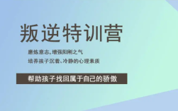 安徽省封閉式叛逆青少年管教學(xué)校精選推薦