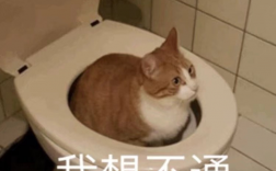 本科延畢但是考上研了(研究生報名條件)