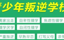 湖北武漢叛逆孩子\戒網癮 \軍事化特訓管理學校-紐特教育
