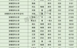 安徽醫(yī)科大學什么檔次