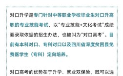 什么是對口高考
