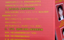 項城一高多少分可以上