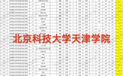 2024年北京科技大學天津學院排名