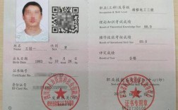 低壓電工證查詢網站官方網(國家應急管理局官網電工證)