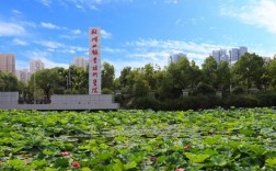 湖北大學職業技術學院