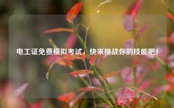 電工證免費(fèi)模擬考試，快來挑戰(zhàn)你的技能吧！