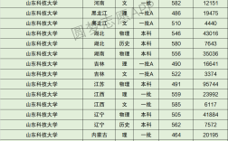 2024年山東科技大學分數線