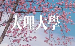 大理大學研究生官網yjsc.dali.edu.cn