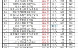 200分在武漢能讀什么大專
