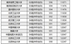 中央財經大學中外合作辦學分數線(詳解)