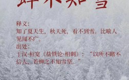 蟬不知雪是什么意思_近義詞_來源