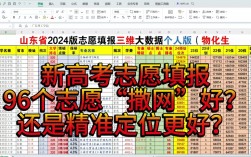 新高考96個志愿怎么填報
