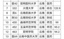 云南大學(xué)排名(云南最好的十所大學(xué))