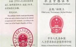 國(guó)家職業(yè)資格證書(shū)補(bǔ)辦(高級(jí)職稱證書(shū)丟失如何補(bǔ)辦)
