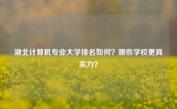 湖北計算機專業大學排名如何？哪些學校更具實力？