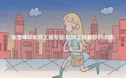張雪峰談軟件工程專業(yè)(軟件工程最好的出路)