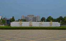2025年安徽自考本科難度有所下降？211安徽大學可以選擇哪些專業？——最全解釋
