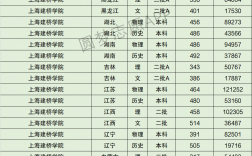2024年上海建橋學院專科錄取分數線