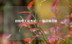 初級(jí)電工證考試：一篇詳細(xì)介紹