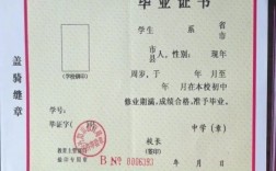 現在高中文憑能干啥