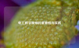電工教學視頻的重要性與實踐