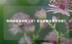 如何快速拿到電工證？拿證需要花多少錢呢？
