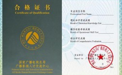 全媒體運營師環球(運營師是干嘛的)