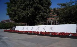 廣州美術學院考研難嗎(哪個美院研究生最好考)